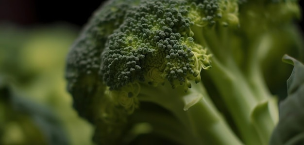 Un trozo de brócoli con un tallo verde y una luz.