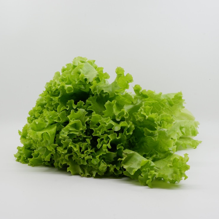 Foto un trozo de lechuga con la palabra lechuga