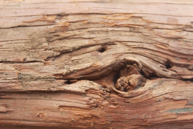 Foto un trozo de madera con un nudo