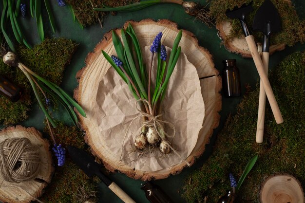 Un trozo de papel de madera con un montón de Muscari en él