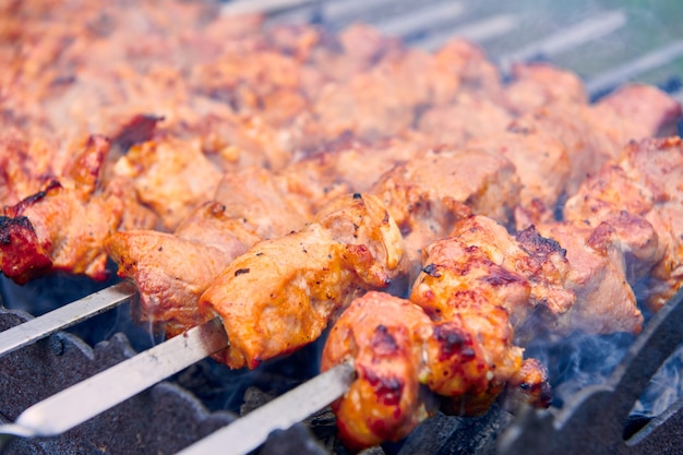 Trozos de deliciosa carne a la brasa en brocheta cocinando sobre brasas. Carne de cerdo asada cocida a la parrilla. Fiesta de barbacoa en la naturaleza. Vista cercana.