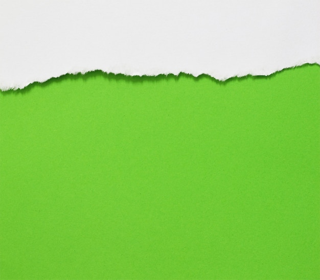 Trozos de fondo de textura de papel rasgado con espacio de copia para texto