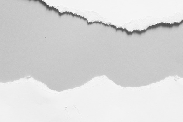 Trozos de fondo de textura de papel rasgado con espacio de copia para texto