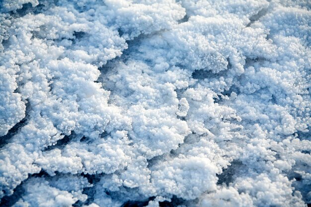 Trozos de hielo de primavera cubiertos de escarcha