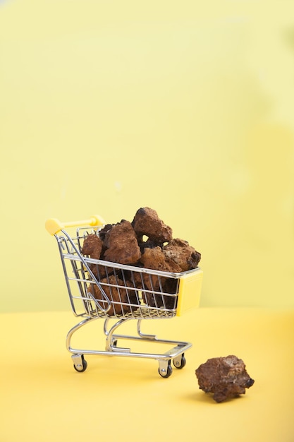 Trozos de hongos chaga en un carrito de supermercado sobre un fondo amarillo Comida vegetariana saludable Copiar spaes verticalmente