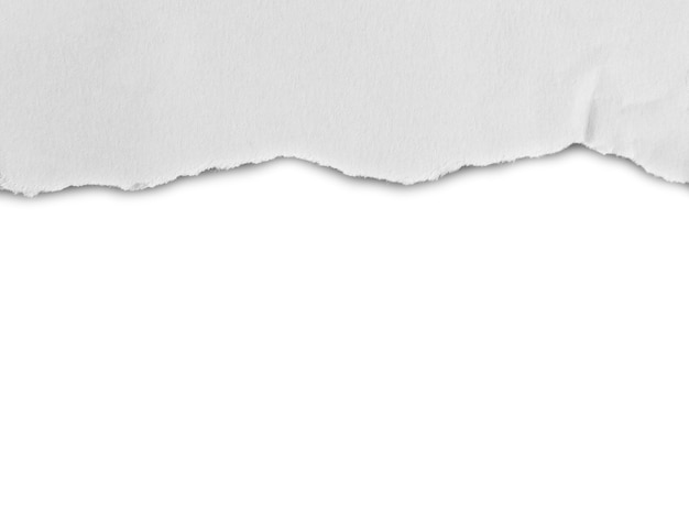 Foto trozos de papel rasgado sobre fondo blanco con espacio para copiar texto