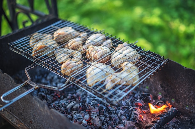 Trozos de pollo a la parrilla, enfoque selectivo, luz natural