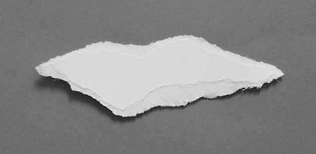 trozos de textura de papel rasgado