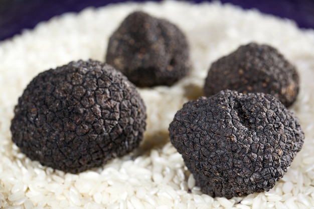 Trufas negras em arroz.