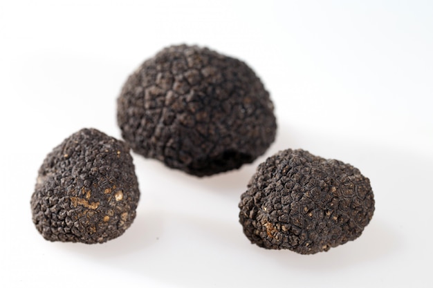 Trufas negras isoladas no branco.