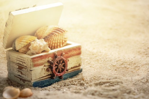 Truhe gefüllt mit Muscheln am Sandstrand