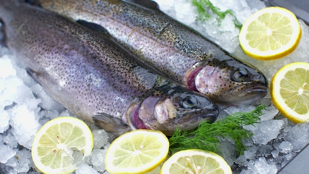 Trutas de salmão frescas no gelo com rodela de limão