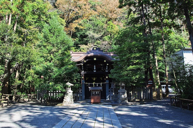 Tsurugaoka Hachimangu-Schrein Kamakura Japan