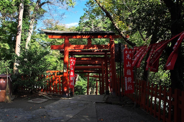 Tsurugaoka Hachimangu-Schrein Kamakura Japan