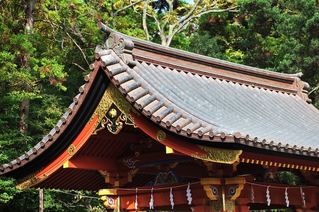 Tsurugaoka Hachimangu Schrein, Kamakura, Japan