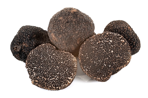 Tuber melanosporum