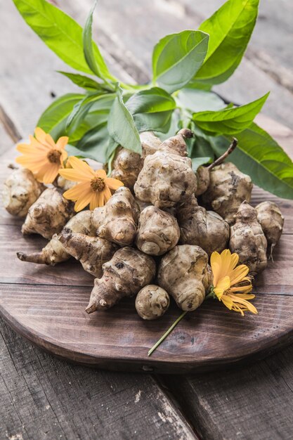 Tubérculos de alcachofra de Jerusalém. Raízes recém colhidas de Helianthus tuberosus, também conhecidas como sunroot, sunchoke, earth apple, topinambur ou lambchoke. Usado como um vegetal de raiz.