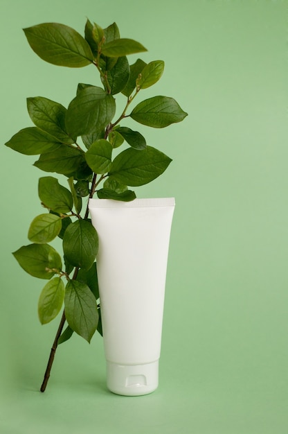 Tubo de crema blanca con una ramita de hojas verdes sobre un fondo verde claro