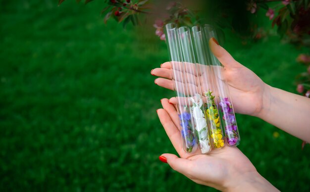 Tubos de ensaio de vidro com pétalas de flores multicoloridas nas mãos das mulheres