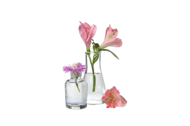 Tubos de ensayo PNG con flores aisladas sobre un fondo blanco.