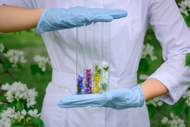 Tubos de ensayo de vidrio con pétalos de flores multicolores.