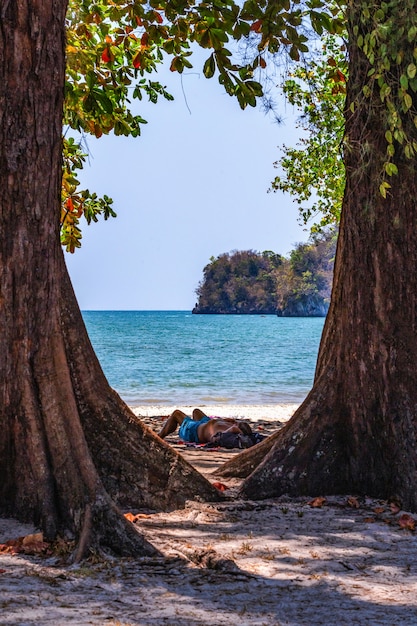 Tudo sobre a coleção de imagens do mar Vista das atividades na praia e do mar