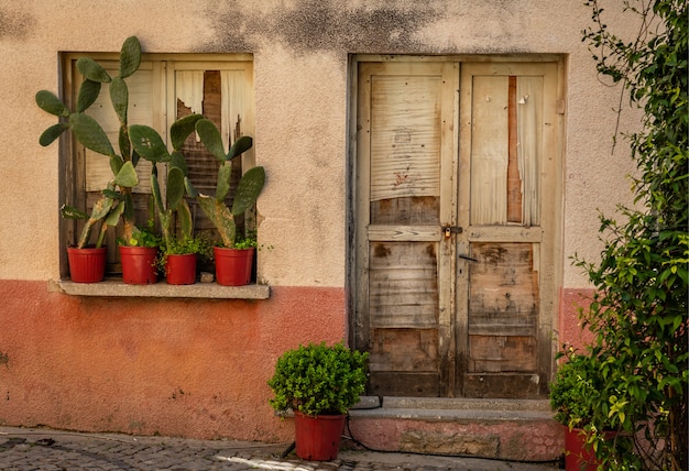 Tür des alten Hauses und der Kakteen auf Fensterbrett