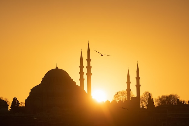 Türkei Istanbul Suleymaniye-Moschee gegen den Sonnenuntergang