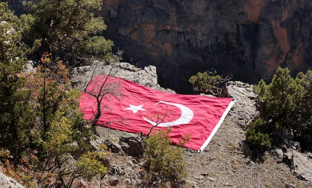 Türkische Flagge in schöner Natur