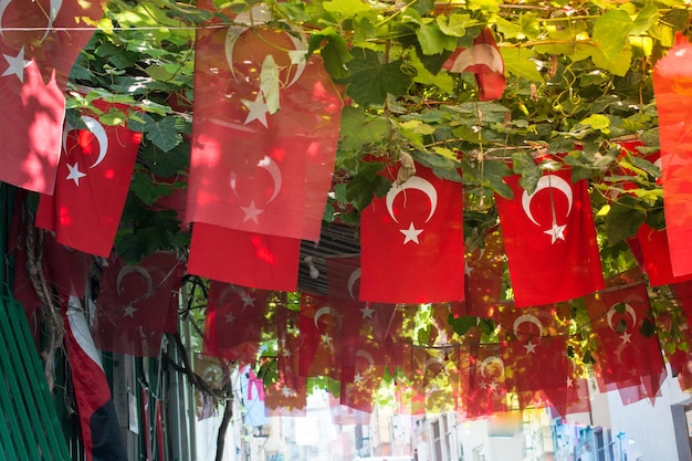 Türkische Nationalflaggen an Schnur im Blick