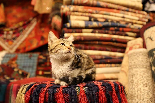 Türkische traditionelle Teppiche in Göreme Nevsehir Türkei