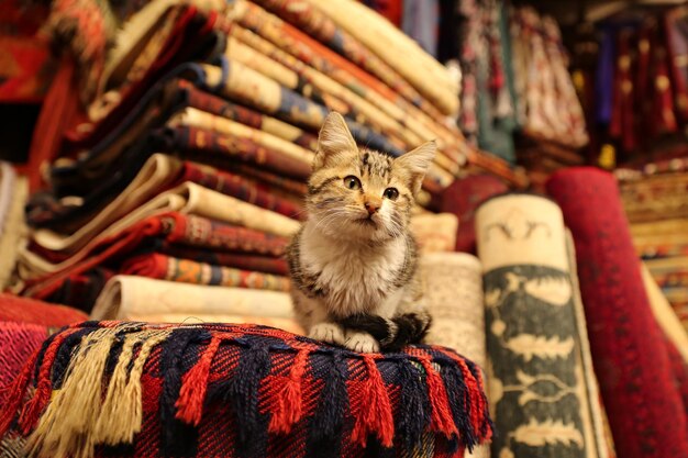 Türkische traditionelle Teppiche in Göreme Nevsehir Türkei