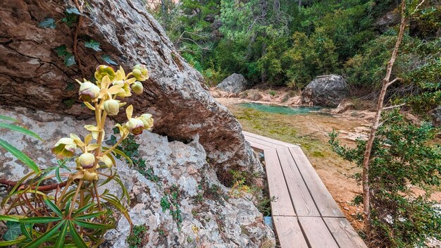Türkisfarbenes Wasser des Flusses Matarraa in den Beceite-Schluchten Teruel Ein Paradies für Naturliebhaber