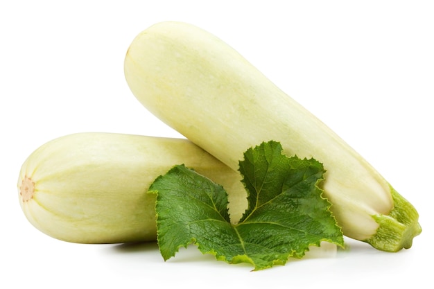 Tuétano de verduras frescas con hoja verde aislado