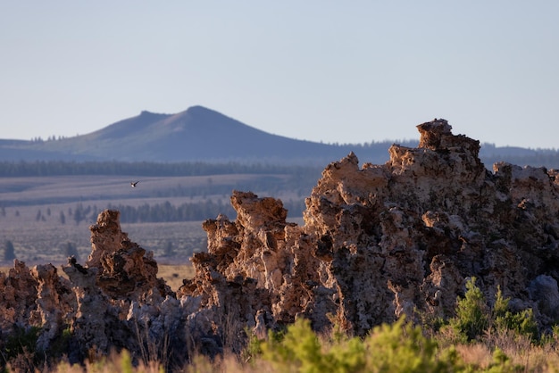 Tufa-Felsformation in Mono Lake Sunny Sunrise