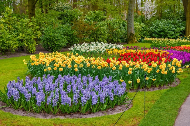 Tuilps e outras flores no parque Keukenhof Lisse Holland Holanda