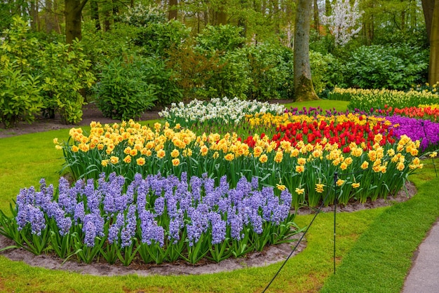 Tuilps und andere Blumen im Keukenhof Park Lisse Holland Niederlande