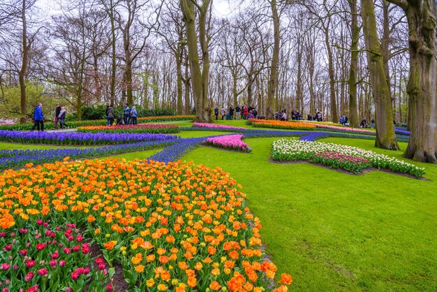 Tuilps und andere Blumen im Keukenhof Park Lisse Holland Niederlande