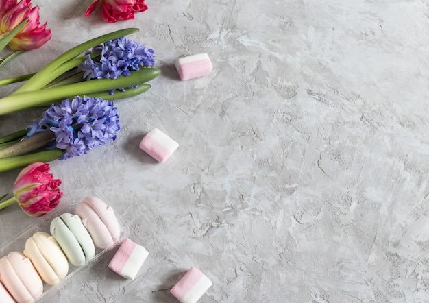 Tulipa primavera e jacinto com conjunto de mulmarshmallows e fitas em fundo cinza