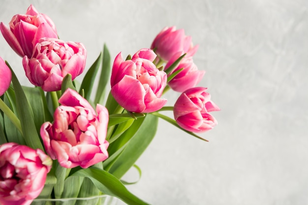 Tulipa rosa em cinza.