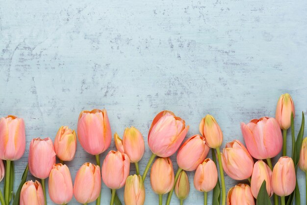 Tulipa rosa no vintage de madeira. Cartão de dia das mães.