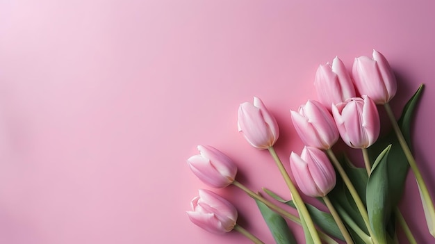 El tulipán de primavera hace que el establecimiento rosa se vea mejor en la organización nivelada Generado por IA