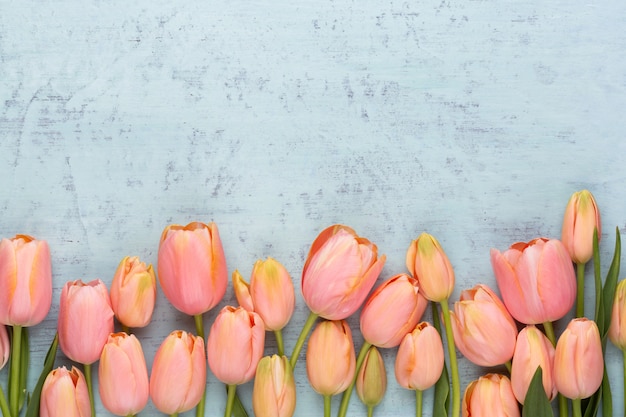 Tulipán rosa en la madera vintage. Tarjeta de felicitación del día de la madre.