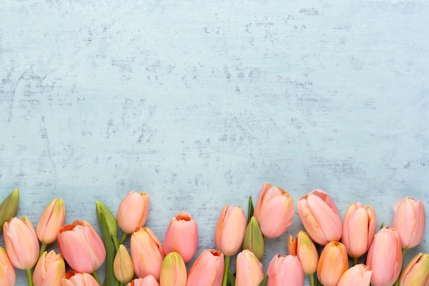 Foto tulipán rosa en la mesa pastel