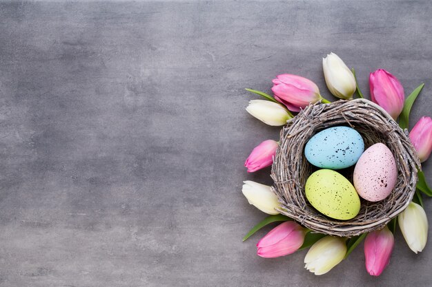 Tulipán rosa con nido de huevos de color rosa sobre un fondo gris. Tarjeta de saludos de Pascua.