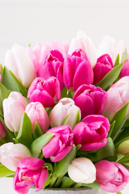 Tulipán rosa sobre la superficie blanca. Tarjeta de felicitación de Pascua y primavera.