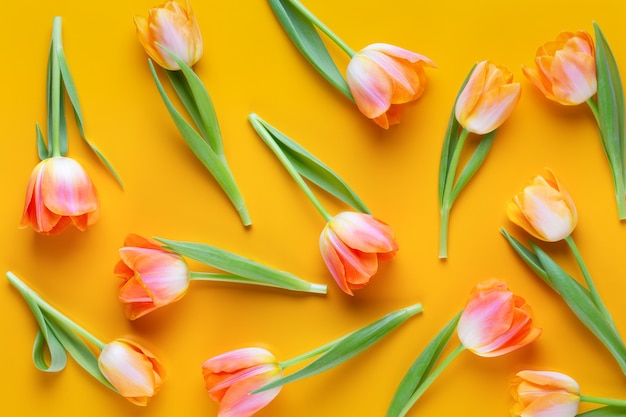 Tulipanes amarillos fondo amarillo