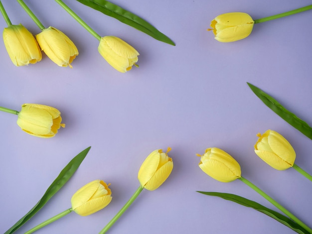 Tulipanes amarillos en el fondo púrpura.