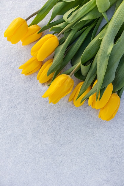 Tulipanes amarillos con hojas verdes sobre un fondo blanco de nieve natural