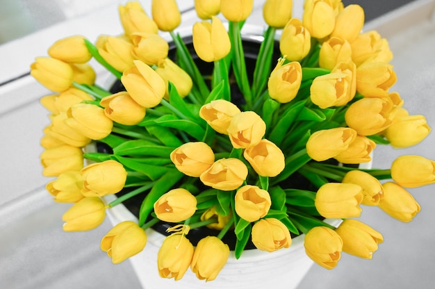Tulipanes amarillos en un jarrón blanco. Foto de alta calidad